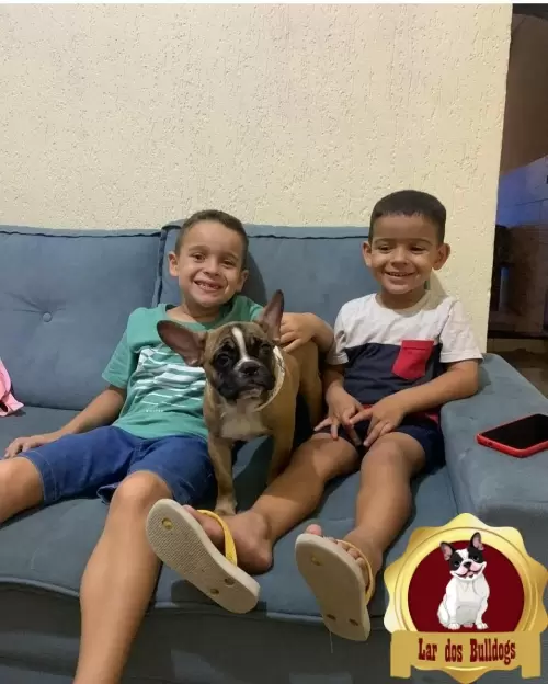 Entrega dos Nossos Filhotes