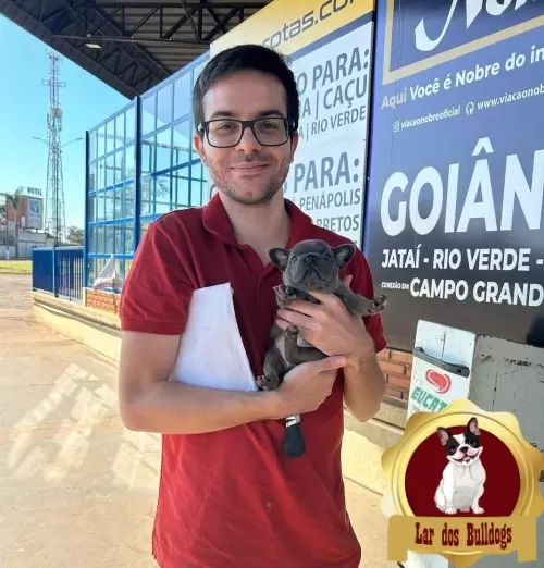 Entrega dos Nossos Filhotes