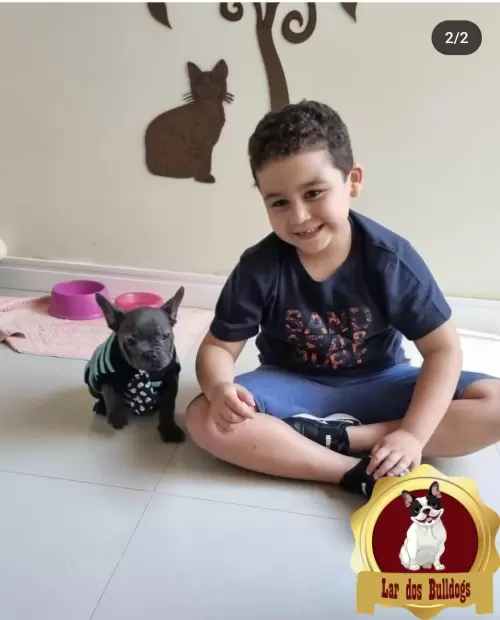 Entrega dos Nossos Filhotes