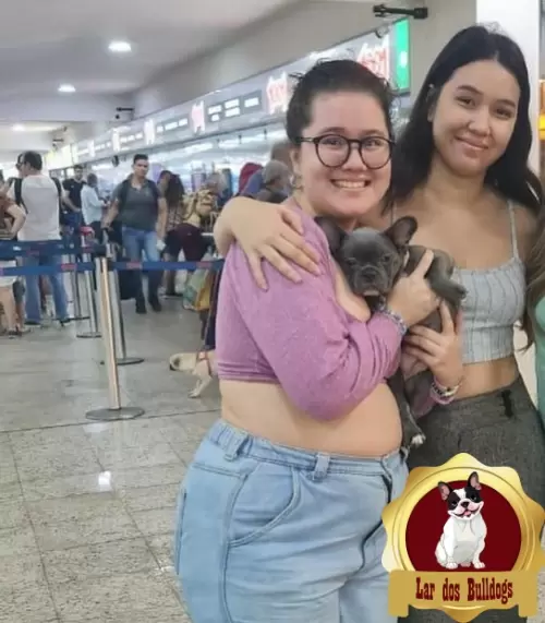 Entrega dos Nossos Filhotes