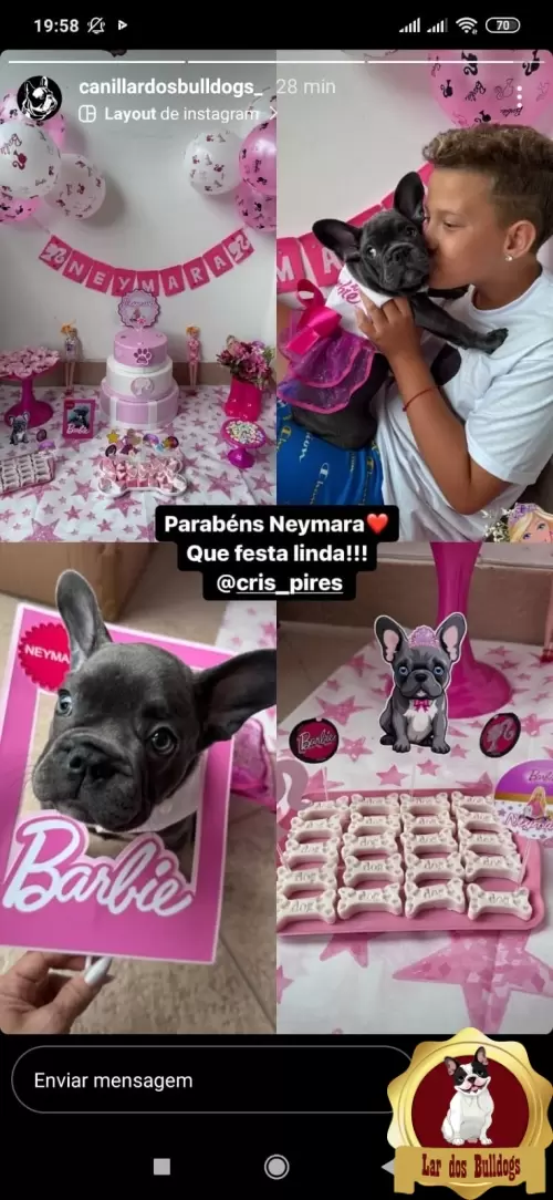 Entrega dos Nossos Filhotes