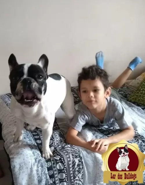 Entrega dos Nossos Filhotes