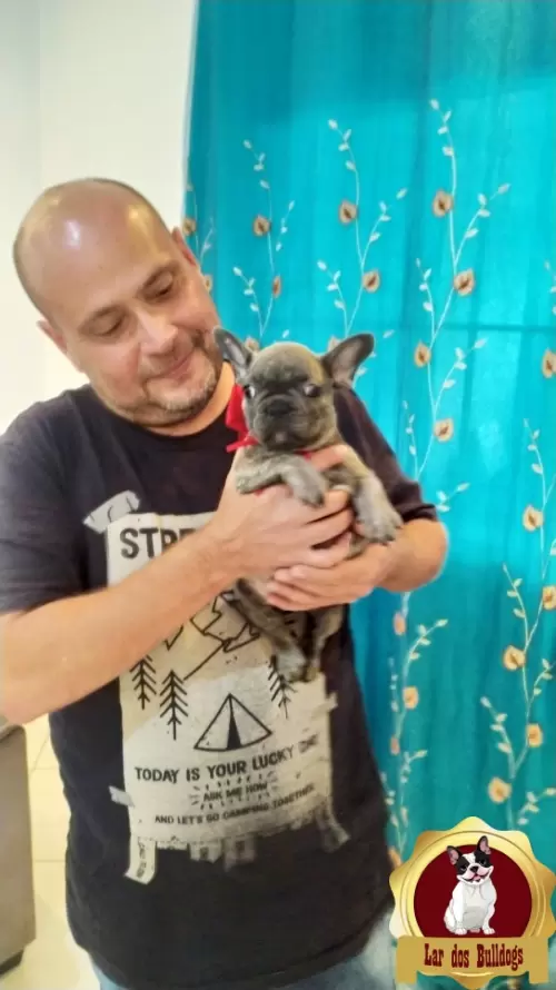 Entrega dos Nossos Filhotes