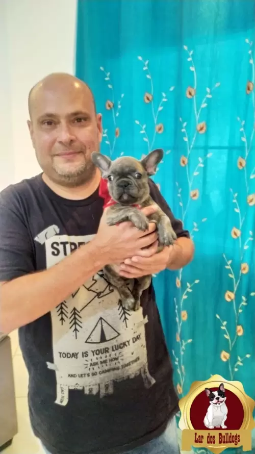 Entrega dos Nossos Filhotes