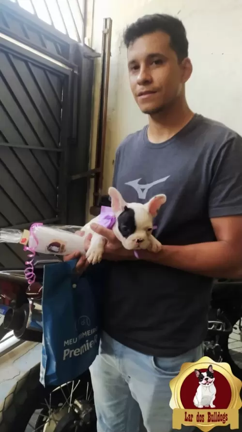Entrega dos Nossos Filhotes