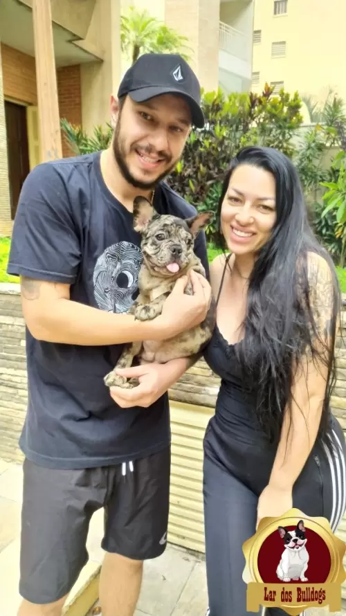 Entrega dos Nossos Filhotes