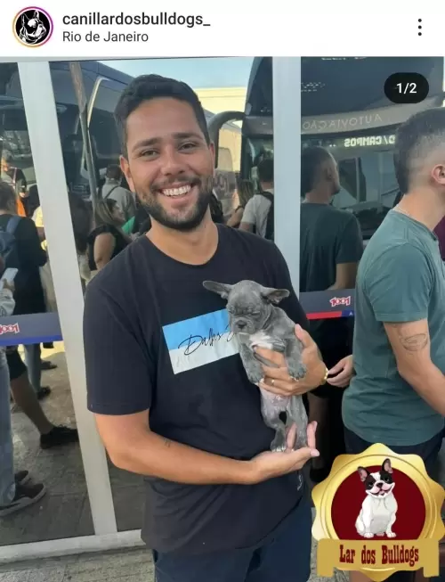 Entrega dos Nossos Filhotes
