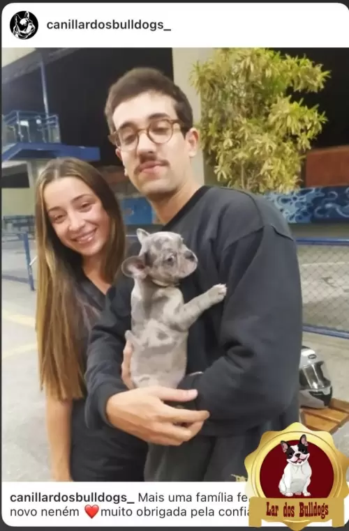 Entrega dos Nossos Filhotes