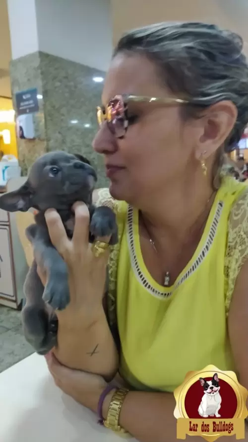 Entrega dos Nossos Filhotes