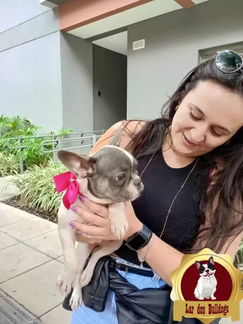 Entrega dos Nossos Filhotes