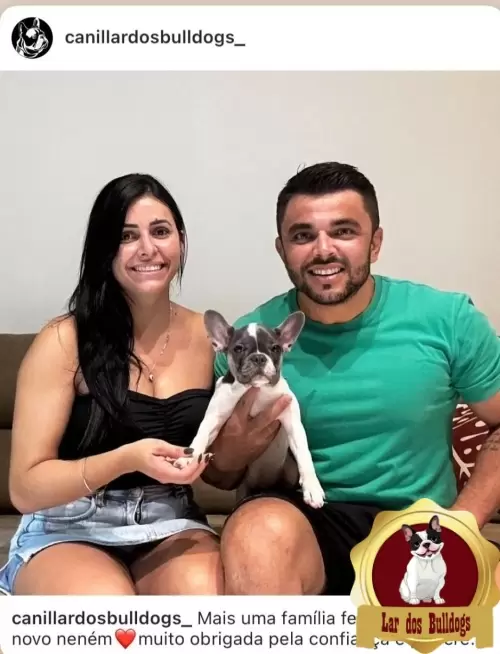 Entrega dos Nossos Filhotes
