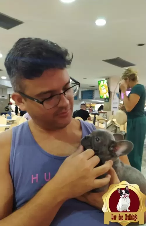 Entrega dos Nossos Filhotes
