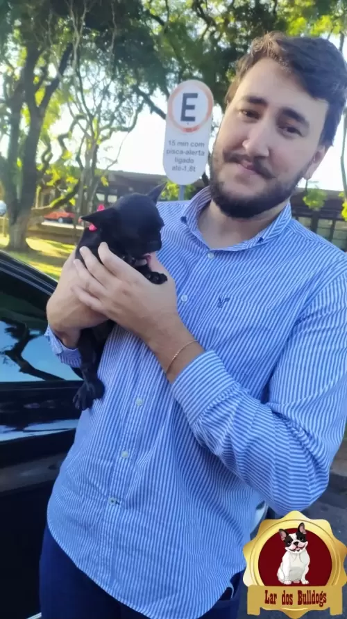Entrega dos Nossos Filhotes