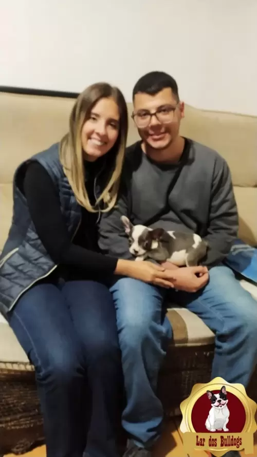 Entrega dos Nossos Filhotes