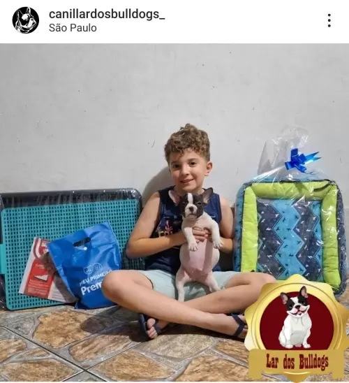 Entrega dos Nossos Filhotes