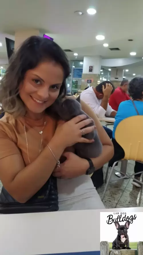 Entrega dos Nossos Filhotes