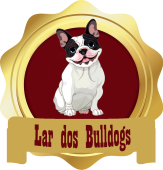 Lar dos Bulldogs - Bulldog Francês